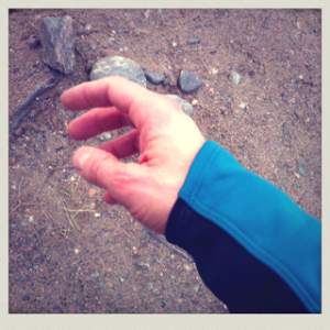 Pearl Izumi