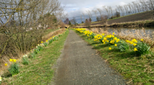 Glasgow to Edinburg ultramaraton 