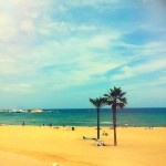 Olloclip 4-IN-1 iPhone