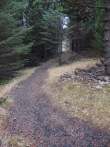 Maastopyöräilyä Islannissa