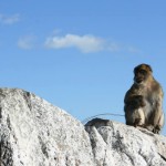 Espanjan Aurinkorannikko