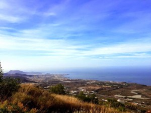 Teneriffan treenileiri