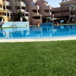 Teneriffan treenileiri