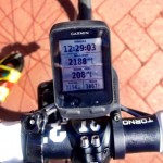 Teneriffan treenileiri