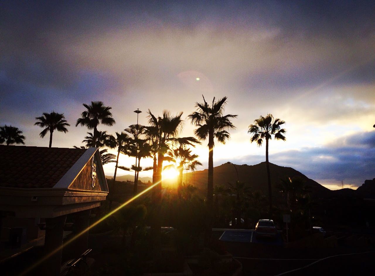 Teneriffan treenileiri