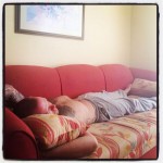 Teneriffan treenileiri