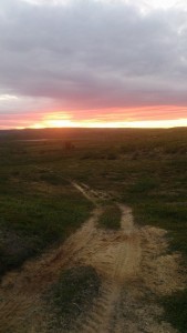OffroadFinnmark 2015