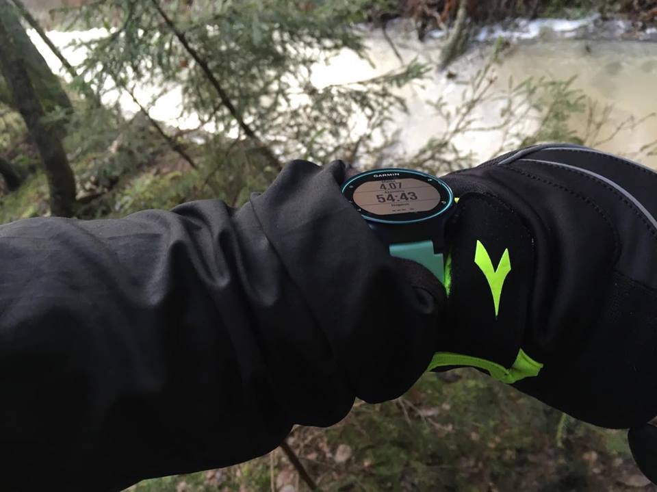 Garmin Forerunner 735XT