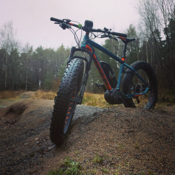 Felt Lebowske