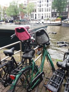 riding-for-hope